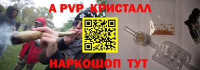 дурь Кингисепп