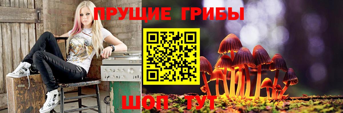 Галлюциногенные грибы мицелий  Вход с VPN  Кубинка 