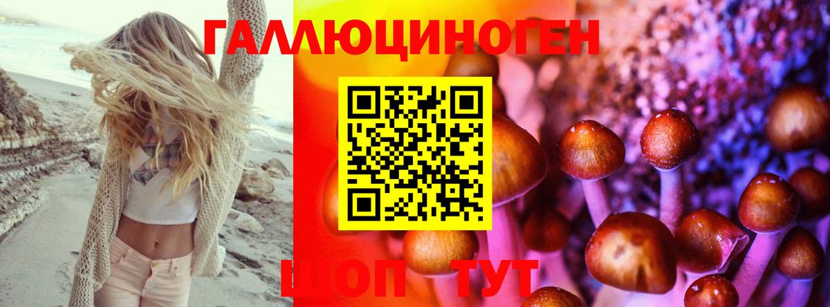 Галлюциногенные грибы Psilocybine cubensis Кубинка